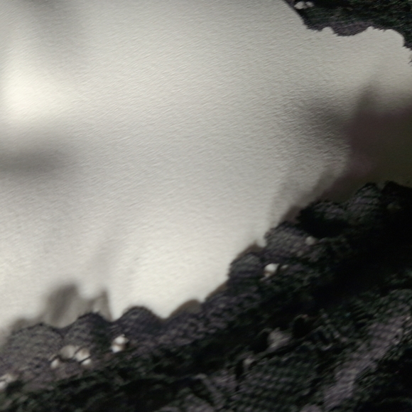 Victoria's Secret Black Lace Plunge Bralette - Picture 10 of 11